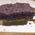 El cooksnap de Neus cuando hizo Barras de pistachos y arándanos.