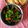 Bansi Thaker's cooksnap of when they made ભરેલા ભીંડા નુ શાક (Bharela Bhinda Shak Recipe In Gujarati).