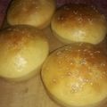 El cooksnap de Norma cuando hizo Pan de hamburguesas con semillas.
