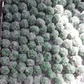 Cooksnap dari Bunda Gume untuk resep Klepon Ala Ala