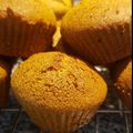 El cooksnap de Sandra Jessica Lovato cuando hizo Muffins de vainilla con harina integral.