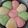 Cooksnap dari junny untuk resep Japanese Milk Bread (Soft and Fluffy)