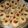 El cooksnap de Romina cuando hizo Galletitas Pepas caseras.