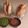 Monica's Cookhouse's cooksnap of when they made Moong Dal Kebab.