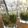El cooksnap de mis-cocteles cuando hizo Mojito María.