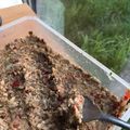 El cooksnap de Nibrehes cuando hizo Hamburguesas veganas de lentejas!.