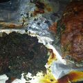 Mrs. Giebeck's cooksnap of when they made Hasselbach Chicken.