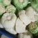 Cooksnap dari puputbening untuk resep Apem nasi lembut