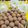 Sumedha Joshi's cooksnap of when they made खजूर ड्रायफ्रूट लड्डू (khajur dryfruit ladoo recipe in marathi).