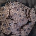 Cooksnap dari Shindy A. Dairobbie untuk resep Milky Oat Cookies ala Didi