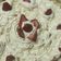 El cooksnap de Emilia Cattebeke cuando hizo Tarta de frutilla.