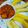 Kalpana Mavani's cooksnap of when they made લસણીયા બટાકા અને ભુંગળા (Lasaniya Bataka Bhungla Recipe In Gujarati).