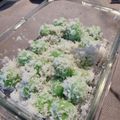 Cooksnap dari Nadia Karlina untuk resep Klepon Ketan Gula Merah