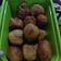 Cooksnap dari erlia zuliani untuk resep Donat Kentang lembut