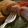 vlutaski's cooksnap of when they made Chicken Cordon Bleu.