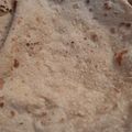 Nazia Qureshi's cooksnap of when they made Simple Roti recipe.