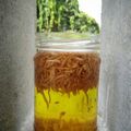 Cooksnap dari Nurul Udhiyah Bakri untuk resep Minyak Baceman Bawang