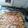 El cooksnap de rosita cuando hizo Guiso Zapallitos Italianos gratinado.