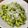 ayaeats | Ayaka 's cooksnap of when they made Pasta with Arugula Pesto.