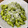 ayaeats | Ayaka 's cooksnap of when they made Pasta with Arugula Pesto.