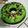 Cooksnap dari Santi Oktaviani untuk resep Bolu kukus ketan item lapis pandan santan.