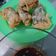 Cooksnap dari Wini Rahmawati (Dapur Ummi Tasikmalaya) untuk resep GIMMARI (korean deep fried seaweed roll), snack korea