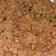 Cooksnap dari Santy Yoga Pratama untuk resep Serundeng daging