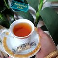 کوک اسنپ e.l.h.a.m.v.a.f.a.d.a.r بعد از امتحان کردن ❤چای به(دمنوش).