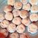 El cooksnap de Jade Torales cuando hizo Alfajores Caseros Riquísimos🤤😋.