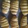 Cooksnap dari Nur Oktaviani untuk resep Roti manis susu