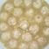 Cooksnap dari S.G.Hidayat untuk resep Bakso Tahu simple & ekonomis