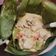 Cooksnap dari Raisa Yamin untuk resep Garang Asem Ayam Kampung (Tanpa Bungkus Daun)