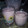 Cooksnap dari Eka Purwaningsih untuk resep Jus Strawberry
