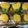 Katie's cooksnap of when they made low carb stuff peppers tuna melts.