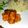 Arpita Biswas's cooksnap of when they made ড্রাই চিলি পনির(dry chili paneer recipe in Bengali).