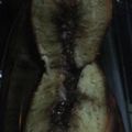 Cooksnap dari Shinta Sheen untuk resep Martabak manis..homemade