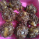 Cooksnap dari Lailatuzzahra Ukhty Muslimah untuk resep Bola bola tape coklat