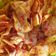 Cooksnap dari Gita untuk resep Keripik Singkong Balado