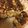 Emily Greenwald 's cooksnap of when they made Salty Carmel Peanut & Pretzel Bars.