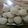 کوک اسنپ ساجده فاطمه بعد از امتحان کردن کلوچه کنجدی 🍪 🍪.