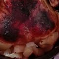 Anya idő Cooksnap-ja, amikor elkészítette a(z) Kuglófsütőn sült csirke receptet.