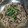 林嘉貞 的 簡單的家常菜料理-金針菇炒絞肉 cooksnap
