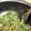 Cooksnap dari Merryza Menx untuk resep Oat Buncis Tahu Cabe Garam