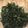 Ramona Stewart's cooksnap of when they made Kale Chips.