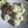 Cooksnap dari Feby untuk resep KELEPON