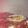 El cooksnap de Andrea Estevezfgfjjdnrj cuando hizo Orange pie.
