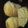El cooksnap de Flor Garcia cuando hizo Pan casero 🥖😍.