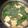 Cooksnap dari Nor Aina Yuliani Savira untuk resep Kangkung Kuah Bening
