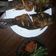 Cooksnap dari cendra erawani untuk resep Ikan Mujaer Goreng