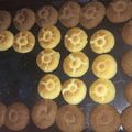 صورة من شمس الدجى ، شاركها بعد تجربة وصفة بيتفور مقرمش ولذيذ 😋😋😋😋